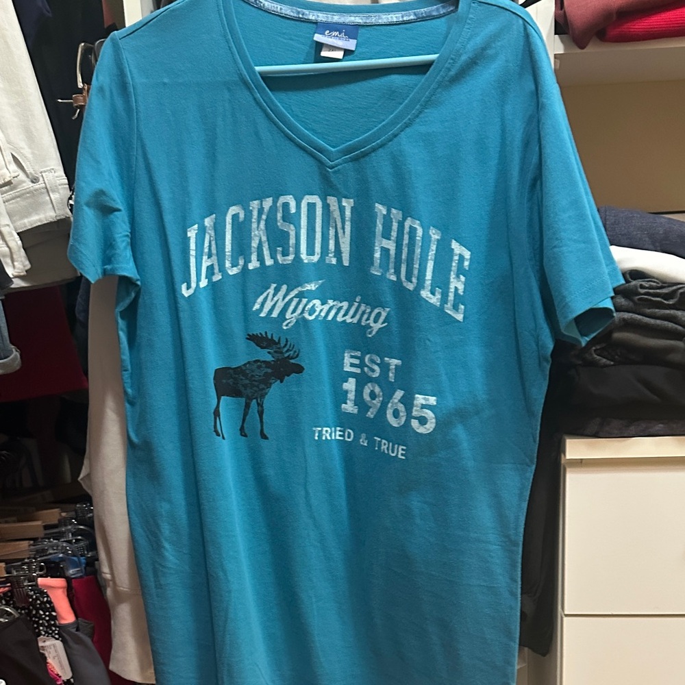 Emi Jay Blue Wyoming Graphic V-Neck Tee